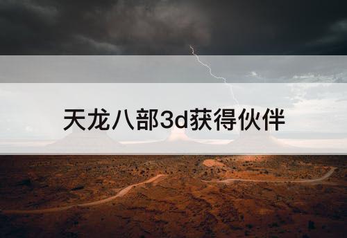 天龙八部3d获得伙伴