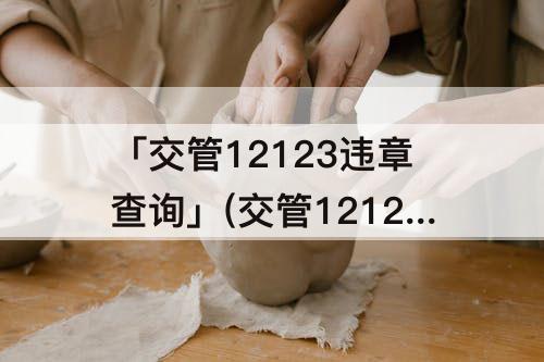 「交管12123违章查询」(交管12123违章查询不到怎么办)