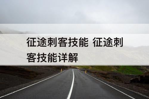 征途刺客技能 征途刺客技能详解