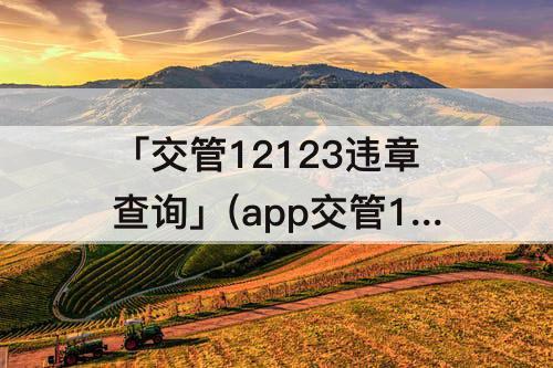 「交管12123违章查询」(app交管12123违章查询)