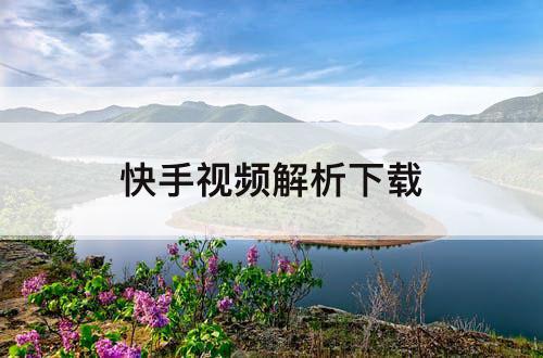 快手视频解析下载