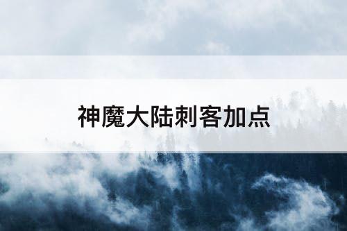 神魔大陆刺客加点