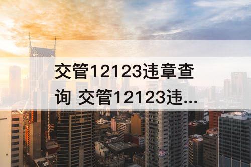 交管12123违章查询 交管12123违章查询处理平台