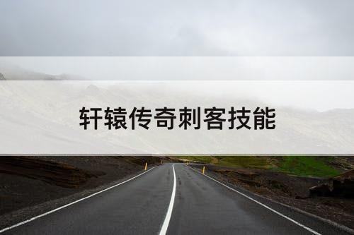 轩辕传奇刺客技能