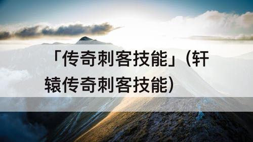 「传奇刺客技能」(轩辕传奇刺客技能)