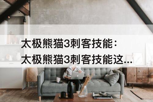 太极熊猫3刺客技能：太极熊猫3刺客技能这么搭配