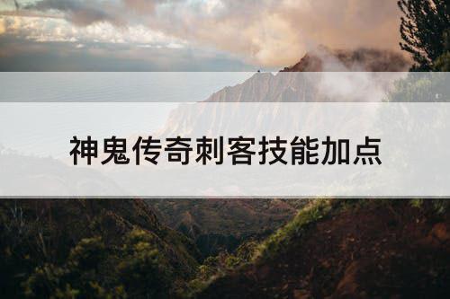 神鬼传奇刺客技能加点