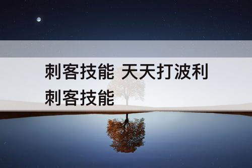 刺客技能 天天打波利刺客技能