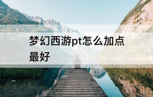 梦幻西游pt怎么加点最好