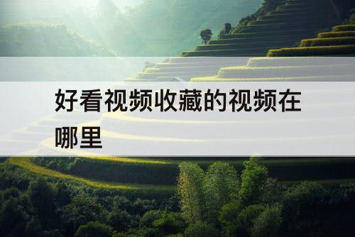 好看视频收藏的视频在哪里