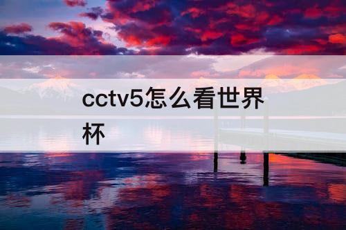cctv5怎么看世界杯