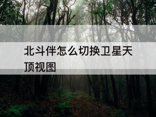北斗伴怎么切换卫星天顶视图