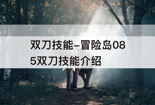 双刀技能-冒险岛085双刀技能介绍