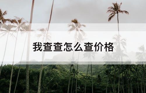 我查查怎么查价格