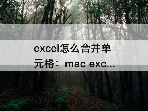 excel怎么合并单元格：mac excel怎么合并单元格