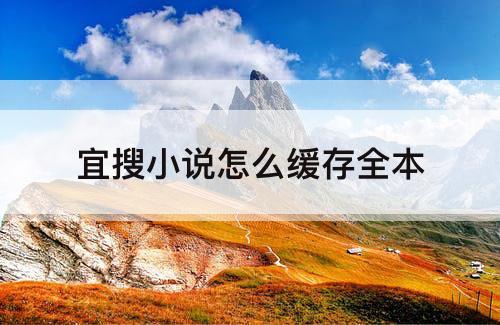 宜搜小说怎么缓存全本