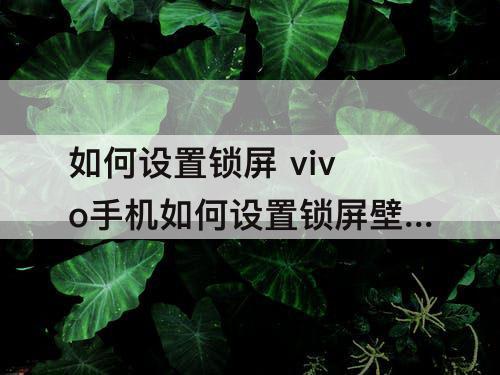 如何设置锁屏 vivo手机如何设置锁屏壁纸