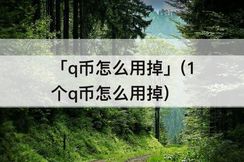 「q币怎么用掉」(1个q币怎么用掉)