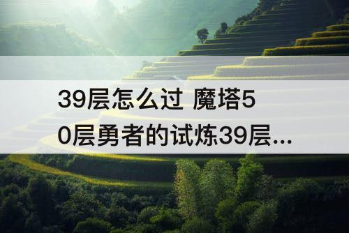 39层怎么过 魔塔50层勇者的试炼39层怎么过
