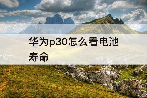 华为p30怎么看电池寿命