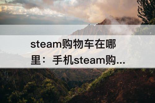 steam购物车在哪里：手机steam购物车在哪里看