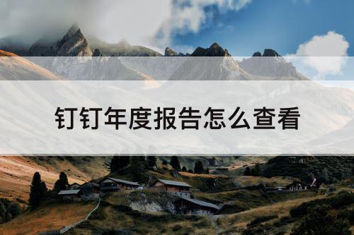 钉钉年度报告怎么查看