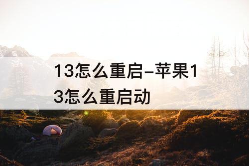 13怎么重启-苹果13怎么重启动