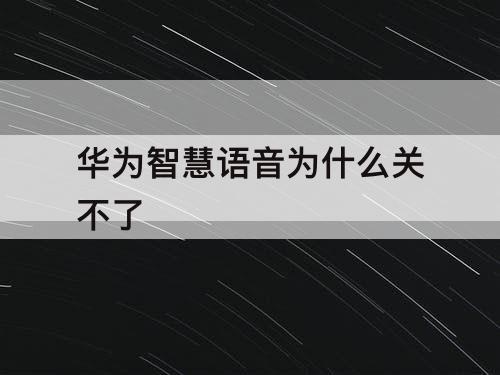 华为智慧语音为什么关不了