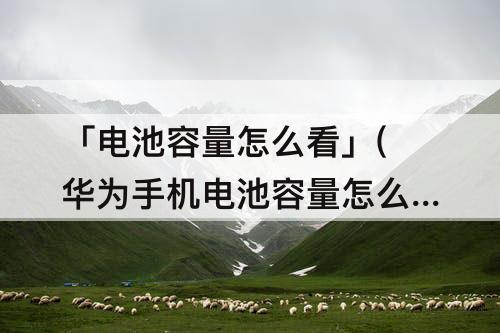 「电池容量怎么看」(华为手机电池容量怎么看)