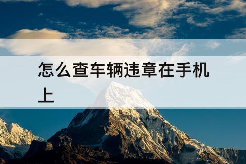 怎么查车辆违章在手机上