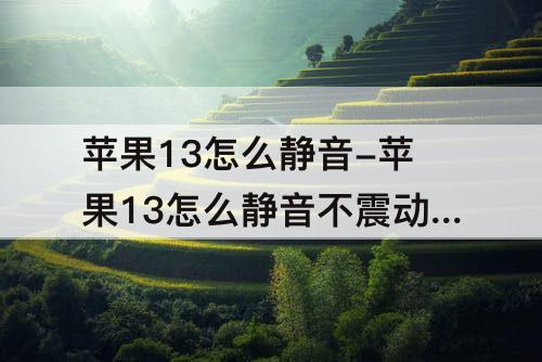 苹果13怎么静音-苹果13怎么静音不震动的那种