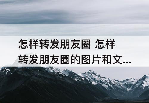 怎样转发朋友圈 怎样转发朋友圈的图片和文字