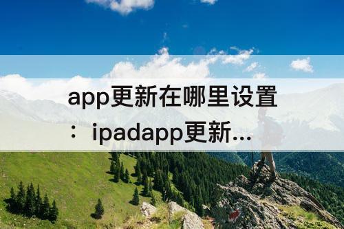 app更新在哪里设置：ipadapp更新在哪里设置