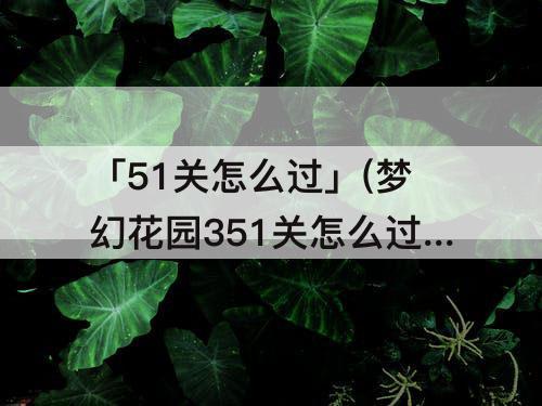 「51关怎么过」(梦幻花园351关怎么过)