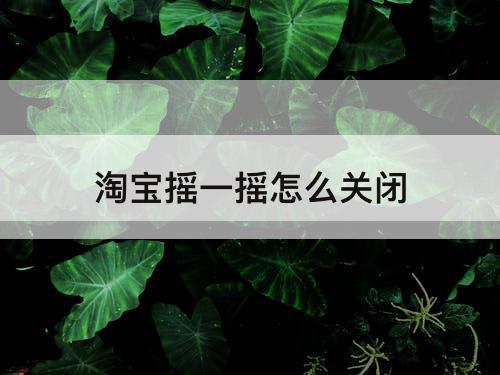 淘宝摇一摇怎么关闭