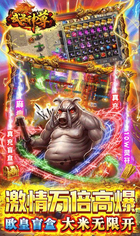 武圣神尊魂环超攻速  v1.0图3