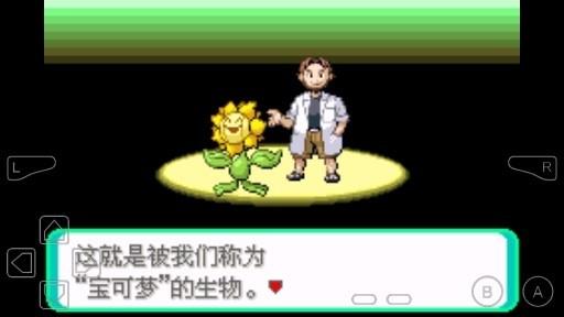口袋妖怪绿宝石随机版手机版  v1.0图1