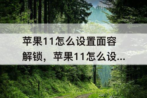 苹果11怎么设置面容解锁，苹果11怎么设置面容解锁后直接进系统