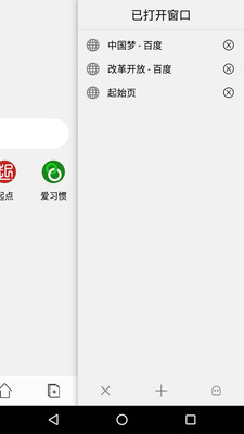 石榴浏览器  v1.0.1图4