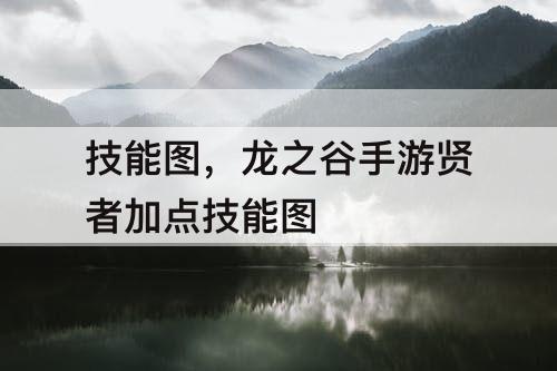 技能图，龙之谷手游贤者加点技能图