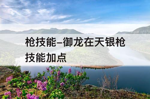 枪技能-御龙在天银枪技能加点