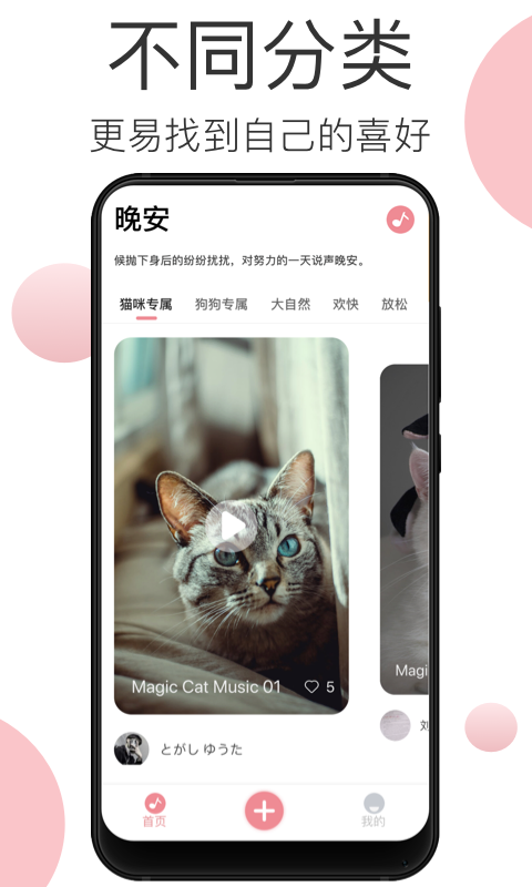 宠物音乐