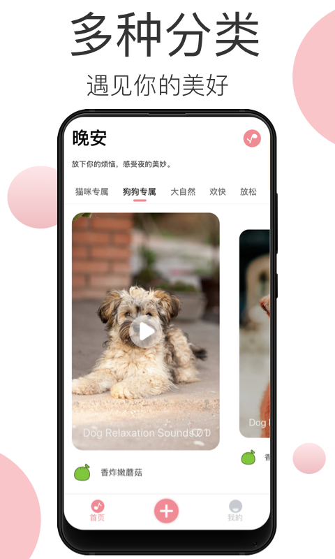 宠物音乐  v1.0.1图3