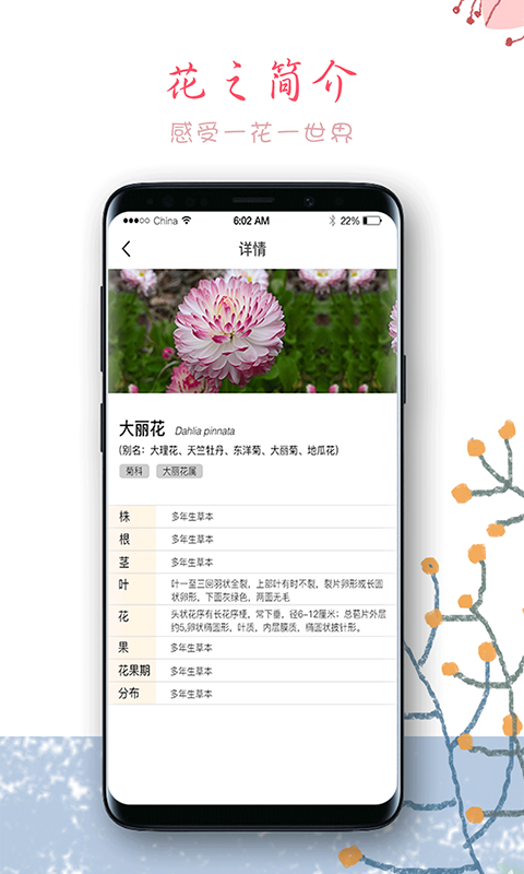 超级袋鼠爸爸  v0.0.35图4
