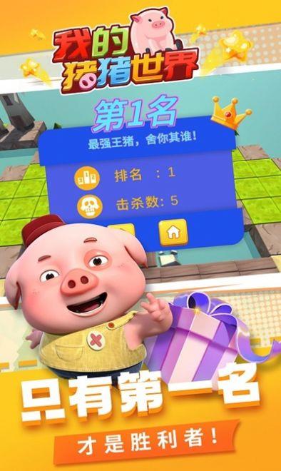 我的猪猪世界  v1.0图2