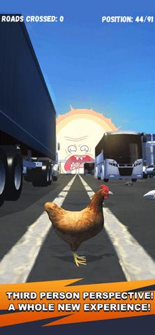 Chicken
