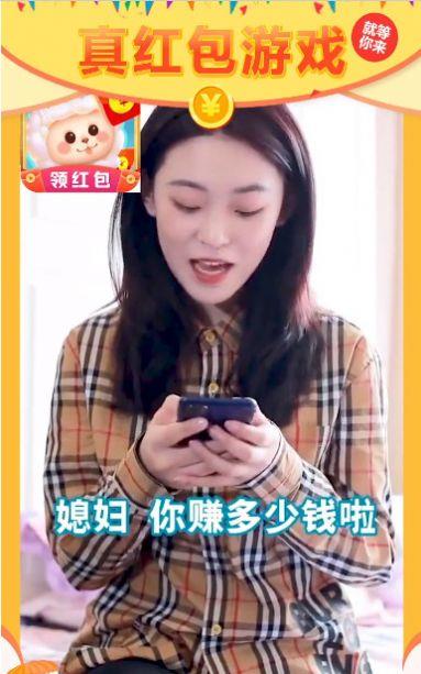 一起收羊驼  v1.0图2