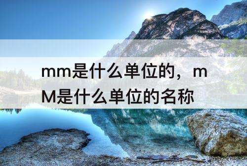 mm是什么单位的，mM是什么单位的名称