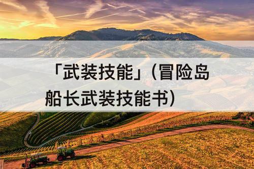 「武装技能」(冒险岛船长武装技能书)