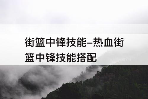 街篮中锋技能-热血街篮中锋技能搭配